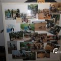 IMG_958501