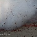 IMG_959417