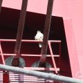 IMG_962576