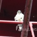 IMG_962585