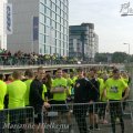 Habour_run_2013_0022