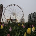 IMG_1435604