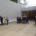 IMG_1663546