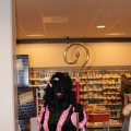Sinterklaas Rhoon_0144