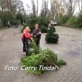 kerstbomen verbranding 2020_2