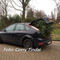 kerstbomen verbranding 2020_3