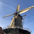 IMG_1782498