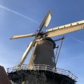IMG_1782499