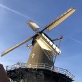 IMG_1782501