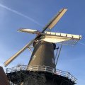 IMG_1782502