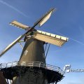 IMG_1782503