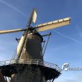IMG_1782504