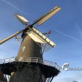 IMG_1782505