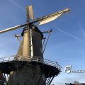IMG_1782506