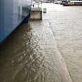 IMG_1782809