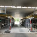 IMG_1822766