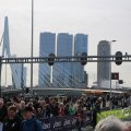 IMG_1911449