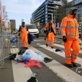 IMG_1911487