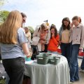 IMG_2029186