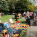 IMG_2029211