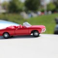 IMG_2028125
