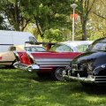 IMG_2028131