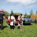 IMG_2028132