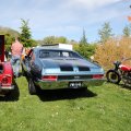 IMG_2028134