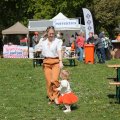 IMG_2028154