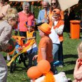 IMG_2028237