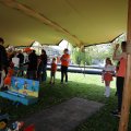 IMG_2028337