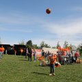 IMG_2028382