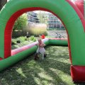 IMG_2028445