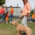 IMG_2028988