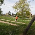 IMG_2029381
