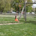 IMG_2029384