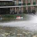 IMG_2029484