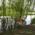 IMG_2029486