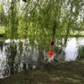 IMG_2029487