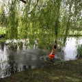 IMG_2029489