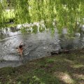 IMG_2029503