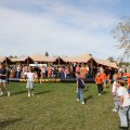 IMG_2029537