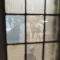 IMG_2030481