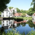 IMG_2032303