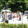 IMG_2032613