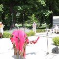 IMG_2032775