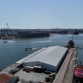 IMG_2033029