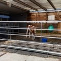 IMG_2033136