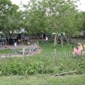 IMG_2037116