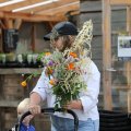 IMG_2037136